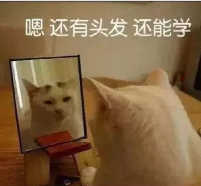 十条笑话：千万不要减肥，现在你丑还有胖来当个借口